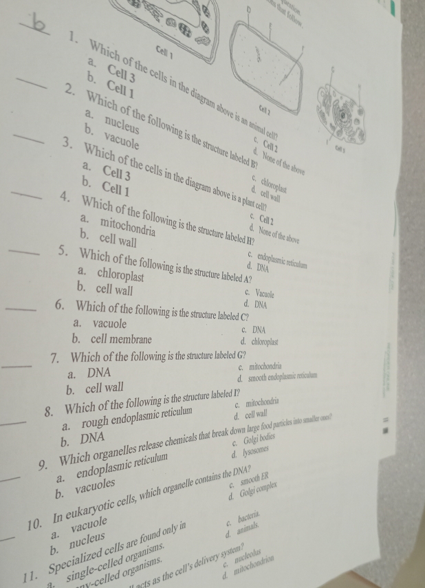iestion
D hs that follow
_
Cell 1
a. Cell 3
b. Cell 1
_. Which of the cells in the diagram above is an animal e
a
Cell 2
a. nucleus
_. Which of the following is the structure labeled 
b. vacuole
d. None of the above c. Cell 2 Cels
a. Cell 3
_3. Which of the cells in the diagram above is a plant cell
c. chloroplast
d. cell wall
b. Cell 1 c. Cell 2
4. Which of the following is the structure labeled H
d. None of the above
b. cell wall
a. mitochondria c. endoplasmic retículum
_5. Which of the following is the structure labeled A?
d. DNA
a. chloroplast
c. Vacuole
b. cell wall d. DNA
_6. Which of the following is the structure labeled C?
a. vacuole c. DNA
b. cell membrane d. chloroplast
_
7. Which of the following is the structure labeled G?
a. DNA c. mitochondria
b. cell wall d. smooth endoplasmic reticulum
8. Which of the following is the structure labeled I?
c. mitochondria
a. rough endoplasmic reticulum d. cell wall
b. DNA
_9. Which organelles release chemicals hat break dow harge food particles into smaller ones?
d. lysosomes
a. endoplasmic reticulum c. Golgi bodies
d. Golgi complex c. smooth ER
b. vacuoles
_10. In eukaryotic cells, which organelle contains the DNA?
b. nucleus a. vacuole
_ 1. Specialized cells are found only in c. bacteria.
ny-celled organisms. d. animals.
c. nucleolus
single-celled organisms
d mitochondrion
i cts s the cell 's delivery system .