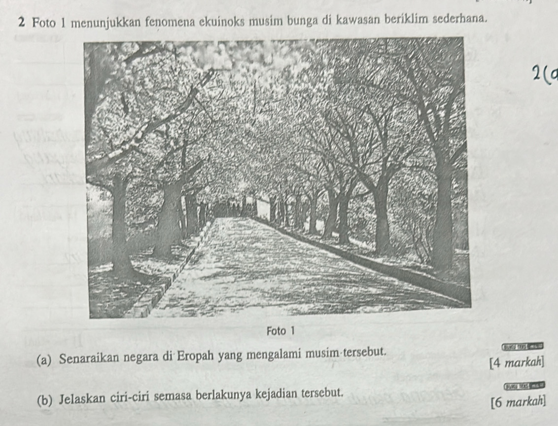 Foto 1 menunjukkan fenomena ekuinoks musim bunga di kawasan beriklim sederhana. 
(a) Senaraikan negara di Eropah yang mengalami musim tersebut. sd has 
[4 markah] 
(b) Jelaskan ciri-ciri semasa berlakunya kejadian tersebut. 
[6 markah]