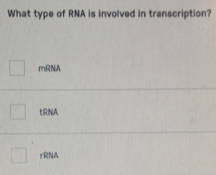 What type of RNA is involved in transcription?
mRNA
tRNA
rRNA