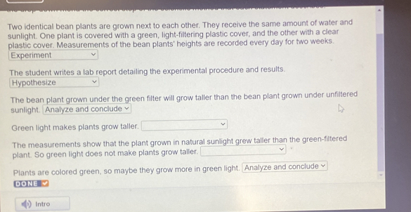 Two identical bean plants are grown next to each other. They receive the same amount of water and 
sunlight. One plant is covered with a green, light-filtering plastic cover, and the other with a clear 
plastic cover. Measurements of the bean plants' heights are recorded every day for two weeks. 
Experiment 
The student writes a lab report detailing the experimental procedure and results. 
Hypothesize 
The bean plant grown under the green filter will grow taller than the bean plant grown under unfiltered 
sunlight. | Analyze and conclude 
Green light makes plants grow taller. 
The measurements show that the plant grown in natural sunlight grew taller than the green-filtered 
plant. So green light does not make plants grow taller. 
Plants are colored green, so maybe they grow more in green light. Analyze and conclude 
DONE √ 
Intro