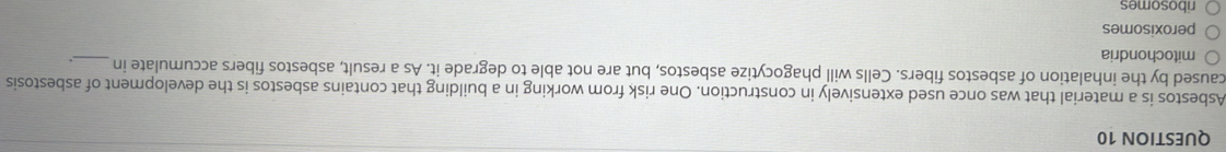 Asbestos is a material that was once used extensively in construction. One risk from working in a building that contains asbestos is the development of asbestosis
caused by the inhalation of asbestos fibers. Cells will phagocytize asbestos, but are not able to degrade it. As a result, asbestos fibers accumulate in _.
mitochondria
peroxisomes
ribosomes