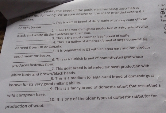 dentify the breed of the poultry animal being described in 4. h 
5 
each of the following. Write your answer on the space provided before the a) 
number. 5.V 
_ 
1. This is a small breed of dairy cattle with body color of fawn lar 
or light brown. 
_ 
2. It has the world's highest production of dairy animals with 
black and white distinct patches on their skin. 
6 
3. This is the most common beef breed of cattle. 
_ 
_4. This is a native of American breed of large domestic pig 
derived from UK or Canada. 
_ 
5. It is originated in US with an erect ears and can produce 
good meat for bacon. 
_ 
6. This is a Turkish breed of domesticated goat which 
produces lustrous fiber. 
_ 
7. This goat breed is intended for meat production with 
white body and brown/black heads. 
_ 
8. This is a medium to large-sized breed of domestic goat, 
known for its very good milking ability. 
_ 
9. This is a fancy breed of domestic rabbit that resembled a 
wild European hare. 
_ 
10. It is one of the older types of domestic rabbit for the 
production of wool.