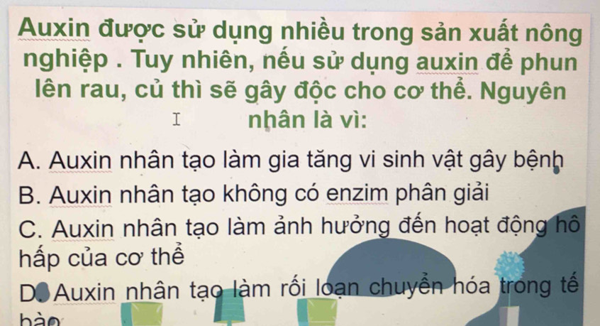 Auxin được sử dụng nhiều trong sản xuất nông
nghiệp . Tuy nhiên, nếu sử dụng auxin để phun
lên rau, củ thì sẽ gây độc cho cơ thể. Nguyên
nhân là vì:
A. Auxin nhân tạo làm gia tăng vi sinh vật gây bệnh
B. Auxin nhân tạo không có enzim phân giải
C. Auxin nhân tạo làm ảnh hưởng đến hoạt động hô
hấp của cơ thể
Do Auxin nhân tạo làm rối loạn chuyển hóa trong tế
hào