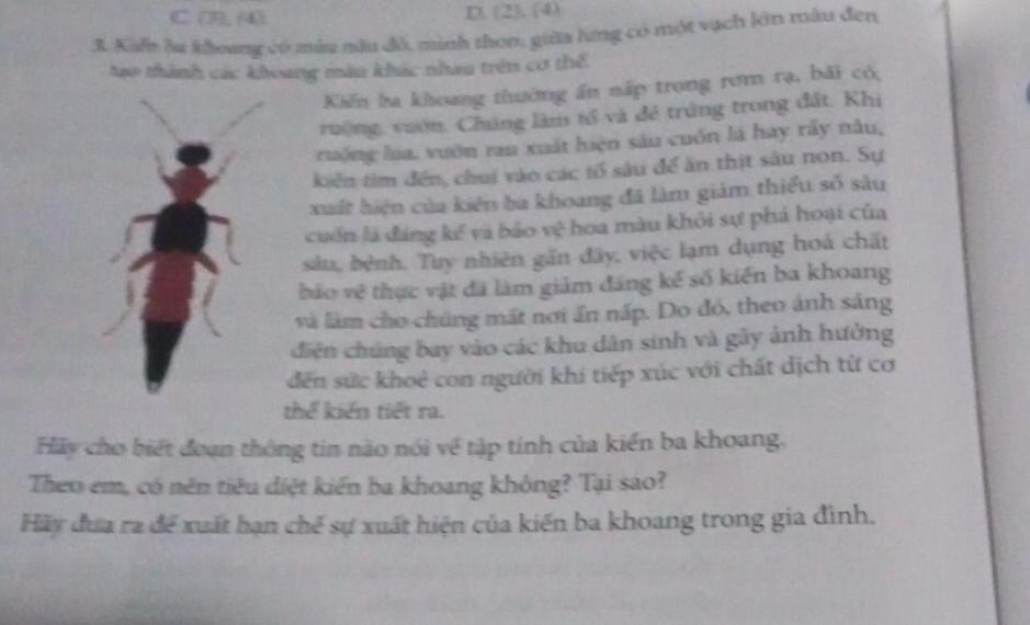 C. (3), (4). D. [2]. (4)
3. Kiểh lu khoang có mùu tău đô, minh thon: giữa lưng có một vạch lớn màu đen
tao thành các khoang màu khúc nhau trên cơ thể
Kiến ba khoang thường ấn nấp trong rơm rạ, bãi có,
ruờng, vuờn. Chúng làm tổ và đé trởng trong đất. Khi
ruộng lia, vuờn rau xuất hiện sàu cuốn là hay rấy nâu,
kiển tim đến, chui vào các tổ sâu để ăn thịt sâu non. Sự
xuất hiện của kiên ba khoang đã làm giảm thiểu số sâu
cuốn là đảng kế và báo vệ hoa màu khỏi sự phá hoại của
sâu, bệnh. Tuy nhiên gần đây, việc lạm dụng hoá chất
bảo vệ thực vật đã làm giảm đảng kế số kiến ba khoang
và làm cho chúng mất nơi ấn nấp. Do đó, theo ảnh sáng
diện chúng bay vào các khu dân sinh và gây ảnh hưởng
đến sức khoẻ con người khi tiếp xúc với chất dịch từ cơ
thế kiến tiết ra.
Hãy cho biết đoạn thông tin não nói về tập tính của kiến ba khoang.
Theo em, có nên tiêu diệt kiến ba khoang khỏng? Tại sao?
Hãy đưa ra để xuất hạn chế sự xuất hiện của kiến ba khoang trong gia đình.