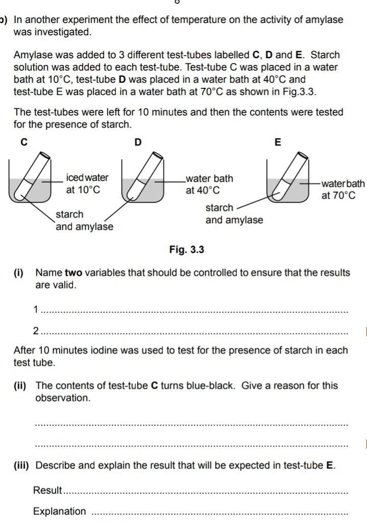 In another experiment the effect of temperature on the activity of amylase
was investigated.
Amylase was added to 3 different test-tubes labelled C, D and E. Starch
solution was added to each test-tube. Test-tube C was placed in a water
bath at 10°C , test-tube D was placed in a water bath at 40°C and
test-tube E was placed in a water bath at 70°C as shown in Fig.3.3.
The test-tubes were left for 10 minutes and then the contents were tested
for the presence of starch.
C
D
E
water bath
Fig. 3.3
(i) Name two variables that should be controlled to ensure that the results
are valid.
_1
_2
After 10 minutes iodine was used to test for the presence of starch in each
test tube.
(ii) The contents of test-tube C turns blue-black. Give a reason for this
observation.
_
_
(iii) Describe and explain the result that will be expected in test-tube E.
Result_
Explanation_