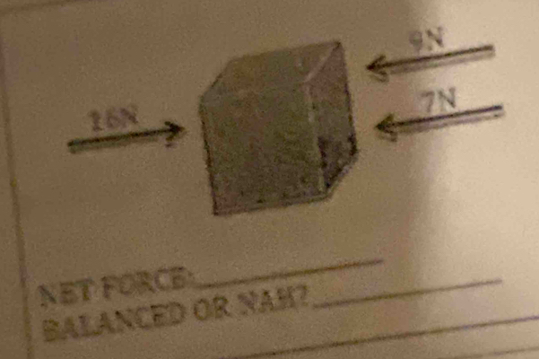 9N
7N
16N
NET FORCE_ 
_ 
BALANCED OR NAH?