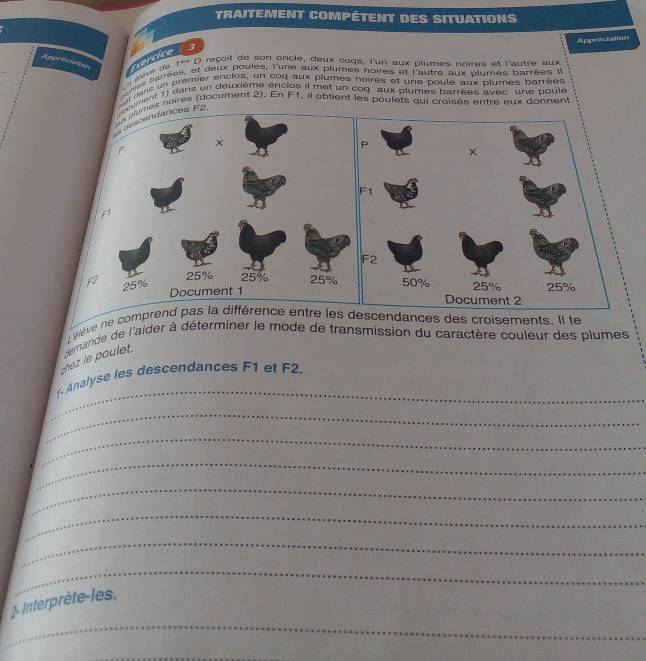 traitement compétent des situations 
Appreciation 
Appreciation vercicens 
éève de 1'' D reçoit de son oncle, deux coqs, l'un aux plumes noires et l'autre aux 
nes barrées, et deux poules, l'une aux plumes noires et l'autre aux plumes barrées l 
er dans un premier enclos, un coq aux plumes noires et une poule aux plumes barrées 
cment 1) dans un deuxième enclos il met un cog aux plumes barrées avec une poule 
s noires (dacument 2). En Ff, il obtient les poulets qui croisés entre eux donnent 
élève ne compren les descendances des croisements. Il te 
shez le poulet. cemande de l'aider à déterminer le mode de transmission du caractère couleur des plumes 
_ 
- Analyse les descendances F1 et F2. 
_ 
_ 
_ 
_ 
_ 
_ 
_ 
_ 
1. Interprète-les.