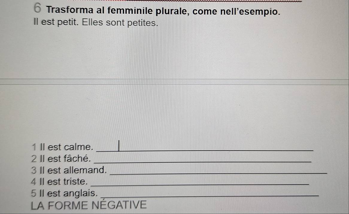 δ Trasforma al femminile plurale, come nell'esempio. 
Il est petit. Elles sont petites. 
1I est calme._ 
2 II est fâché._ 
3 II est allemand._ 
4 II est triste._ 
5 II est anglais._ 
LA FORME NEGATIVE