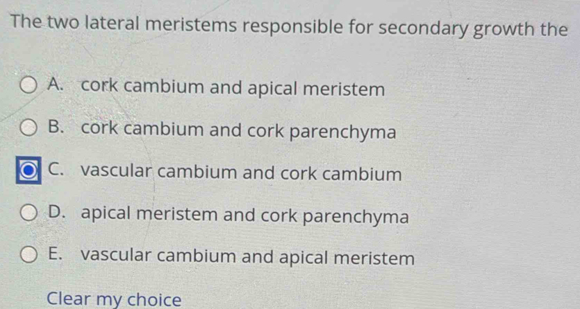 The two lateral meristems responsible for secondary growth the
A. cork cambium and apical meristem
B. cork cambium and cork parenchyma
C. vascular cambium and cork cambium
D. apical meristem and cork parenchyma
E. vascular cambium and apical meristem
Clear my choice