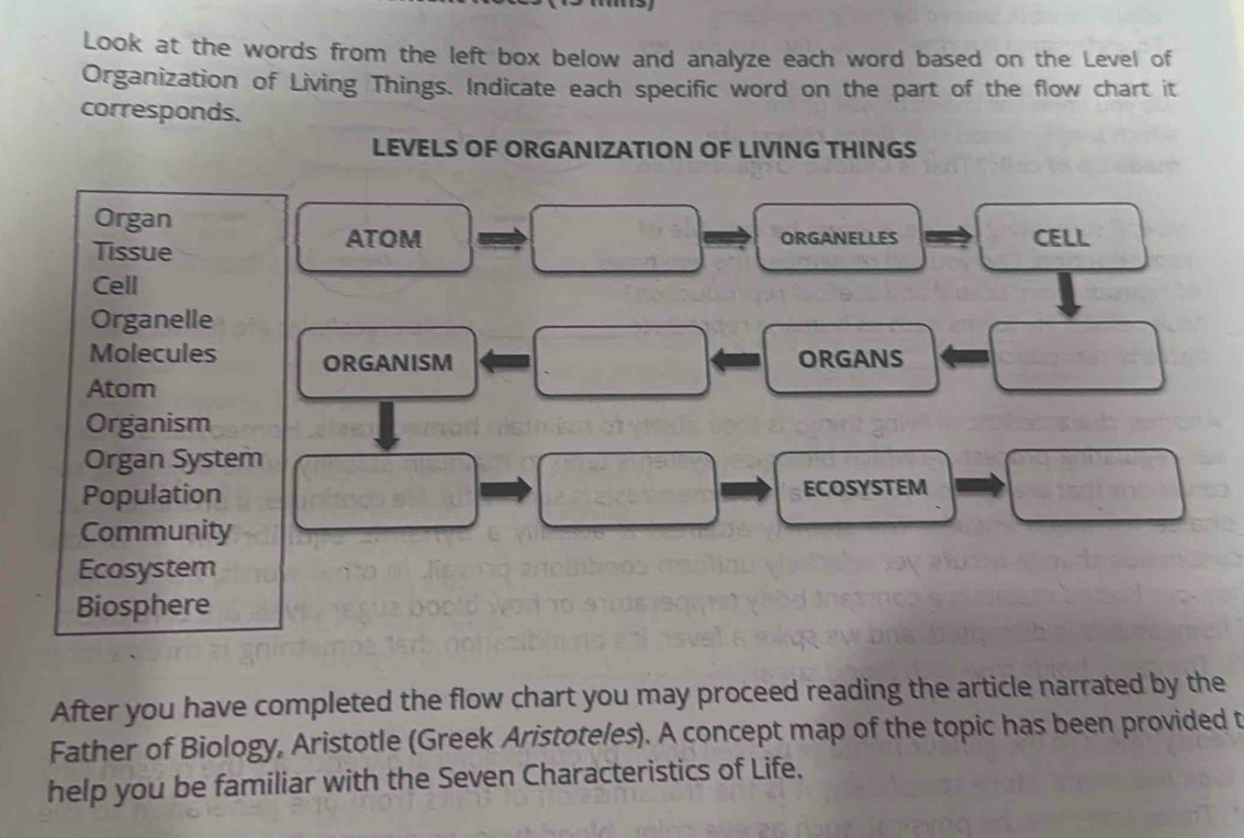 Look at the words from the left box below and analyze each word based on the Level of 
Organization of Living Things. Indicate each specific word on the part of the flow chart it 
corresponds. 
LEVELS OF ORGANIZATION OF LIVING THINGS 
Organ 
Tissue 
ATOM ORGANELLES CELL 
Cell 
Organelle 
Molecules ORGANISM ORGANS 
Atom 
Organism 
Organ System 
Population ECOSYSTEM 
Community 
Ecosystem 
Biosphere 
After you have completed the flow chart you may proceed reading the article narrated by the 
Father of Biology, Aristotle (Greek Aristoteles). A concept map of the topic has been provided t 
help you be familiar with the Seven Characteristics of Life,