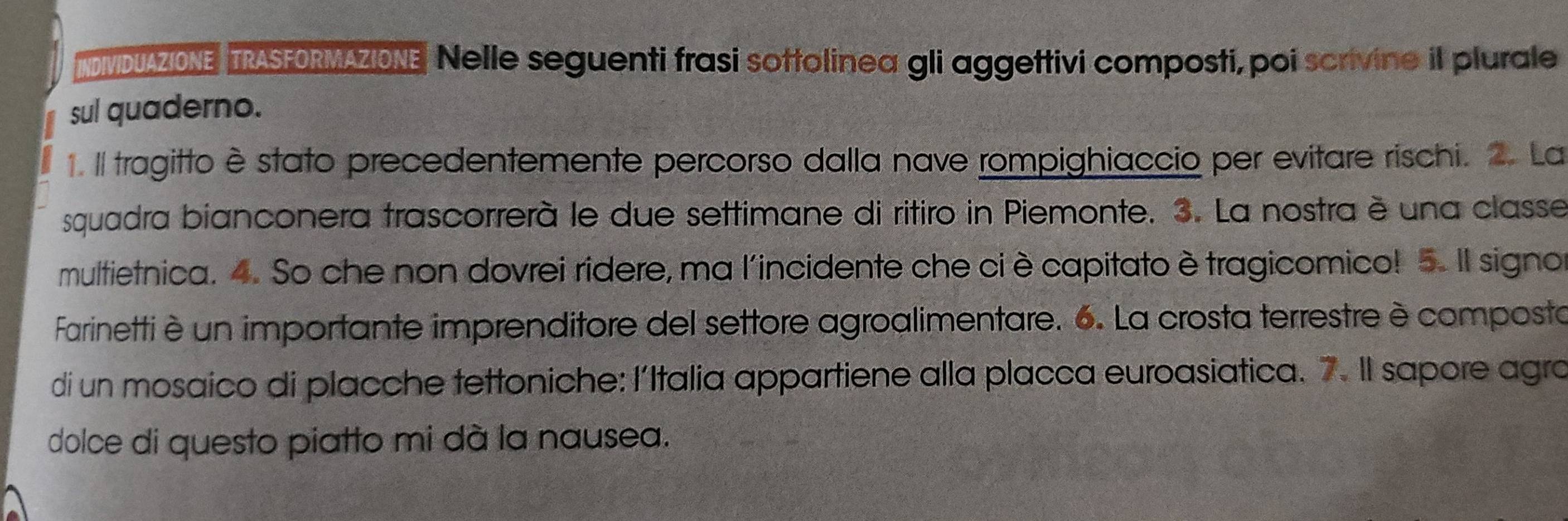 DIVIDUAZIONE TRASEORMAZIONE Nelle seguenti frasi sottolinea gli aggettivi composti, poi scrivine il plurale 
sul quaderno. 
1. Il tragitto è stato precedentemente percorso dalla nave rompighiaccio per evitare rischi. 2. La 
squadra bianconera trascorrerà le due settimane di ritiro in Piemonte. 3. La nostra è una classe 
multietnica. 4. So che non dovrei ridere, ma l'incidente che ciè capitato ètragicomico! 5. Il signor 
Farinetti è un importante imprenditore del settore agroalimentare. 6. La crosta terrestre è composta 
di un mosaico di placche tettoniche: l'Italia appartiene alla placca euroasiatica. 7. Il sapore agra 
dolce di questo piatto mi dà la nausea.