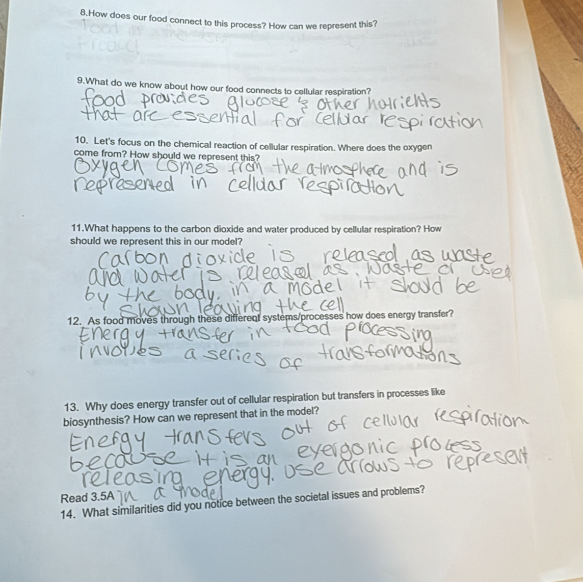 How does our food connect to this process? How can we represent this? 
9.What do we know about how our food connects to cellular respiration? 
10. Let's focus on the chemical reaction of cellular respiration. Where does the oxygen 
come from? How should we represent this? 
11.What happens to the carbon dioxide and water produced by cellular respiration? How 
should we represent this in our model? 
12. As food moves through these different systems/processes how does energy transfer? 
13. Why does energy transfer out of cellular respiration but transfers in processes like 
biosynthesis? How can we represent that in the model? 
Read 3.5A
14. What similarities did you notice between the societal issues and problems?