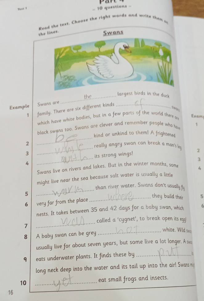 Part 
Yext 1 
- 10 questions - 
Read the text, Choose the right words and write them s 
the lines. 
the_ largest birds in the duck 
Example Swans are 
_ 
1 family. There are six different kinds_ 
which have white bodies, but in a few parts of the world there are 
Exam! 
_ 
black swans too. Swans are clever and remember people who ham 1 
kind or unkind to them! A frightened 
2 _really angry swan can break a man's leg 2
_ 
3 
its strong wings! 
3 
4 
Swans live on rivers and lakes. But in the winter months, some 
4 
might live near the sea because salt water is usually a little 
_ 
than river water. Swans don't usually fly 
5 
_they build their 5
6 very far from the place 
nests. It takes between 35 and 42 days for a baby swan, which 6 
_ 
called a ‘cygnet’, to break open its egg! 
7 
_white. Wild swo 
8 A baby swan can be grey 
usually live for about seven years, but some live a lot longer. A wa 
q eats underwater plants. It finds these by_ 
long neck deep into the water and its tail up into the air! Swans mi 
10 _eat small frogs and insects. 
16