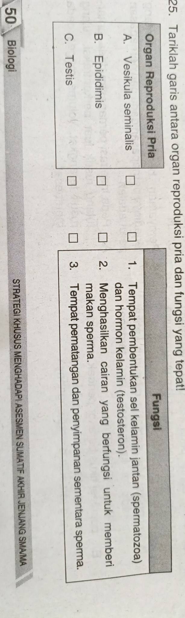 Tariklah garis antara organ reproduksi pria dan fungsi yang tepat!
Organ Reproduksi Pria Fungsi
A. Vesikula seminalis 1. Tempat pembentukan sel kelamin jantan (spermatozoa)
dan hormon kelamin (testosteron).
B. Epididimis 2. Menghasilkan cairan yang berfungsi untuk memberi
makan sperma.
C. Testis 3. Tempat pematangan dan penyimpanan sementara sperma.
50 Biologi STRATEGI KHUSUS MENGHADAP| ASESMEN SUMATIF AKHIR JENJANG SMA/MA