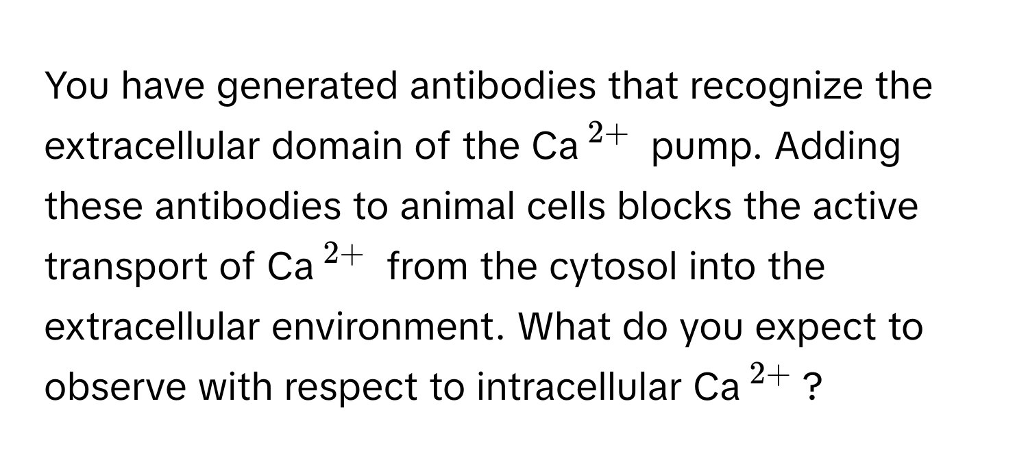 You have generated antibodies that recognize the extracellular domain of the Ca$^2+$ pump. Adding these antibodies to animal cells blocks the active transport of Ca$^2+$ from the cytosol into the extracellular environment. What do you expect to observe with respect to intracellular Ca$^2+$?