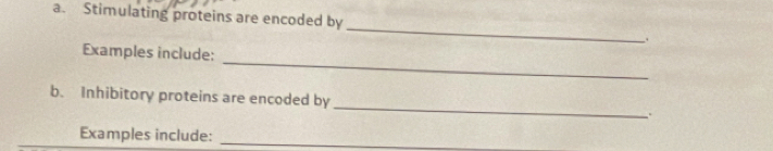 Stimulating proteins are encoded by_ . 
_ 
Examples include: 
_ 
b. Inhibitory proteins are encoded by 
Examples include:_