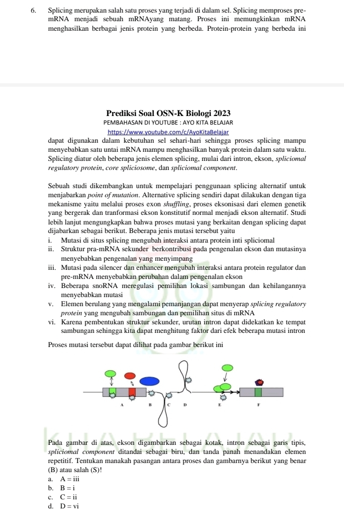 Splicing merupakan salah satu proses yang terjadi di dalam sel. Splicing memproses pre-
mRNA menjadi sebuah mRNAyang matang. Proses ini memungkinkan mRNA
menghasilkan berbagai jenis protein yang berbeda. Protein-protein yang berbeda ini
Prediksi Soal OSN-K Biologi 2023
PEMBAHASAN DI YOUTUBE : AYO KITA BELAJAR
https://www.youtube.com/c/AyoKitaBelajar
dapat digunakan dalam kebutuhan sel sehari-hari sehingga proses splicing mampu
menyebabkan satu untai mRNA mampu menghasilkan banyak protein dalam satu waktu.
Splicing diatur oleh beberapa jenis elemen splicing, mulai dari intron, ekson, spliciomal
regulatory protein, core spliciosome, dan spliciomal component.
Sebuah studi dikembangkan untuk mempelajari penggunaan splicing alternatif untuk
menjabarkan point of mutation. Alternative splicing sendiri dapat dilakukan dengan tiga
mekanisme yaitu melalui proses exon shuffling, proses eksonisasi dari elemen genetik
yang bergerak dan tranformasi ekson konstitutif normal menjadi ekson alternatif. Studi
lebih lanjut mengungkapkan bahwa proses mutasi yang berkaitan dengan splicing dapat
dijabarkan sebagai berikut. Beberapa jenis mutasi tersebut yaitu
i. Mutasi di situs splicing mengubah interaksi antara protein inti spliciomal
ii. Struktur pra-mRNA sekunder berkontribusi pada pengenalan ekson dan mutasinya
menyebabkan pengenalan yang menyimpang
iii. Mutasi pada silencer dan enhancer mengubah interaksi antara protein regulator dan
pre-mRNA menyebabkan perubahan dalam pengenalan ekson
iv. Beberapa snoRNA meregulasi pemilihan lokasi sambungan dan kehilangannya
menyebabkan mutasi
v. Elemen berulang yang mengalami pemanjangan dapat menyerap splicing regulatory
protein yang mengubah sambungan dan pemilihan situs di mRNA
vi. Karena pembentukan struktur sekunder, urutan intron dapat didekatkan ke tempat
sambungan sehingga kita dapat menghitung faktor dari efek beberapa mutasi intron
Proses mutasi tersebut dapat dilihat pada gambar berikut ini
Pada gambar di atas, ekson digambarkan sebagai kotak, intron sebagai garis tipis,
spliciomal component ditandai sebagai biru, dan tanda panah menandakan elemen
repetitif. Tentukan manakah pasangan antara proses dan gambarnya berikut yang benar
(B) atau salah (S)!
a. A=iii
b. B=i
c. C=ii
d. D=vi