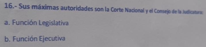 16.- Sus máximas autoridades son la Corte Nacional y el Consejo de la Judicatura:
a. Función Legislativa
b. Función Ejecutiva