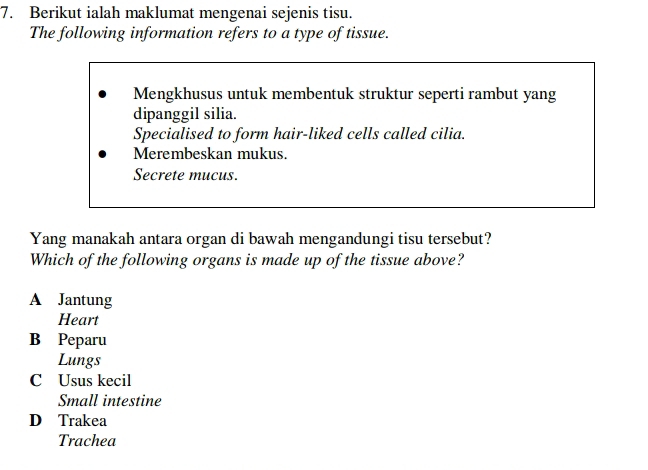 Berikut ialah maklumat mengenai sejenis tisu.
The following information refers to a type of tissue.
Mengkhusus untuk membentuk struktur seperti rambut yang
dipanggil silia.
Specialised to form hair-liked cells called cilia.
Merembeskan mukus.
Secrete mucus.
Yang manakah antara organ di bawah mengandungi tisu tersebut?
Which of the following organs is made up of the tissue above?
A Jantung
Heart
B Peparu
Lungs
C Usus kecil
Small intestine
D Trakea
Trachea