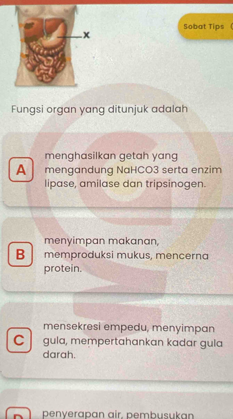 Sobat Tips
Fungsi organ yang ditunjuk adalah
menghasilkan getah yang
A mengandung NaHCO3 serta enzim
lipase, amilase dan tripsinogen.
menyimpan makanan,
B memproduksi mukus, mencerna
protein.
mensekresi empedu, menyimpan
C gula, mempertahankan kadar gula
darah.
penyerapan air. pembusukan