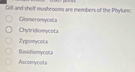 Gill and shelf mushrooms are members of the Phylum::
Glomeromycota
Chytridiomycota
Zygomycota
Basidiomycota
Ascomycota