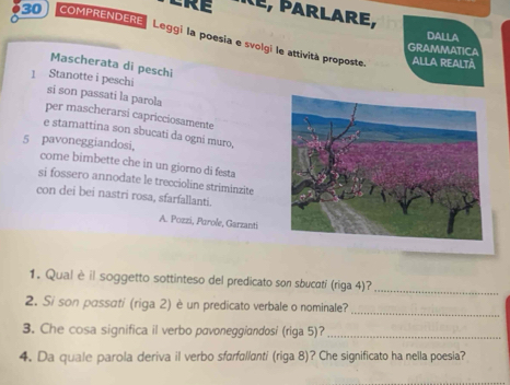 CRE ArLARE, 
30 COMPRENDERE 
DALLA 
Leggi la poesia e svolgi le attività proposte. ALLA REALTÀ 
GRAMMATICA 
Mascherata di peschi 
1 Stanotte i peschi si son passati la parola 
per mascherarsi capricciosamente 
e stamattina son sbucati da ogni muro,
5 pavoneggiandosi, 
come bimbette che in un giorno di festa 
si fossero annodate le treccioline striminzite 
con dei bei nastri rosa, sfarfallanti. 
A. Pozzi, Parole, Garzanti 
1. Qual è il soggetto sottinteso del predicato son sbucati (riga 4)?_ 
_ 
2. Si son passati (riga 2) è un predicato verbale o nominale? 
3. Che cosa significa il verbo pavoneggiandosi (riga 5)?_ 
4. Da quale parola deriva il verbo sfarfullanti (riga 8)? Che significato ha nella poesia?