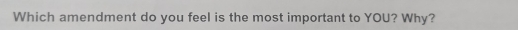 Which amendment do you feel is the most important to YOU? Why?