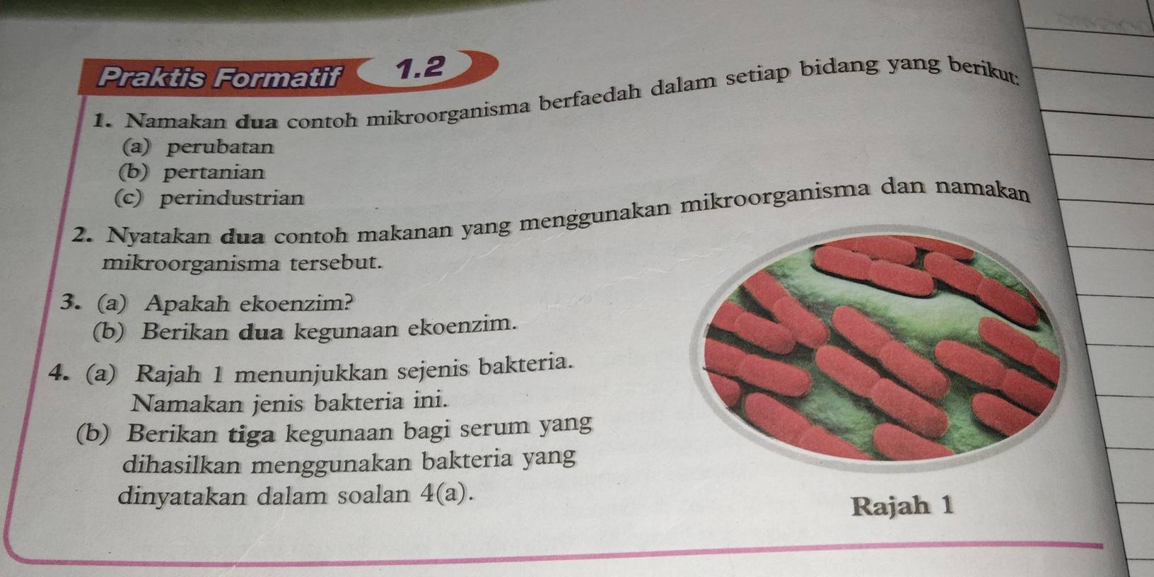 Praktis Formatif 1.2 
1. Namakan dua contoh mikroorganisma berfaedah dalam setiap bidang yang berikut; 
(a) perubatan 
(b) pertanian 
(c) perindustrian 
2. Nyatakan dua contoh makanan yang menggunakan mikroorganisma dan namakan 
mikroorganisma tersebut. 
3. (a) Apakah ekoenzim? 
(b) Berikan dua kegunaan ekoenzim. 
4. (a) Rajah 1 menunjukkan sejenis bakteria. 
Namakan jenis bakteria ini. 
(b) Berikan tiga kegunaan bagi serum yang 
dihasilkan menggunakan bakteria yang 
dinyatakan dalam soalan 4(a). 
Rajah 1