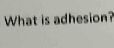 What is adhesion?