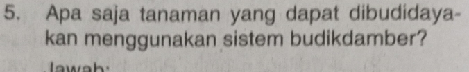 Apa saja tanaman yang dapat dibudidaya- 
kan menggunakan sistem budikdamber? 
wah