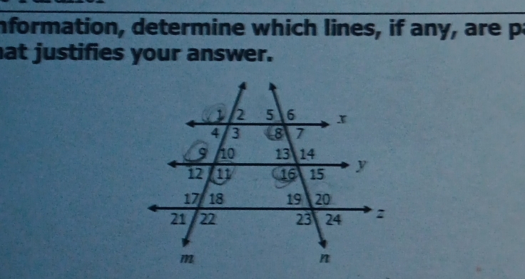 nformation, determine which lines, if any, are p 
at justifies your answer.