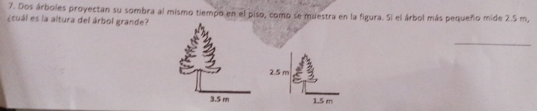 Dos árboles proyectan su sombra al mismo tiempo en el piso, como se muestra en la figura. Si el árbol más pequeño mide 2.5 m, 
¿cuál es la altura del árbol grande? 
_