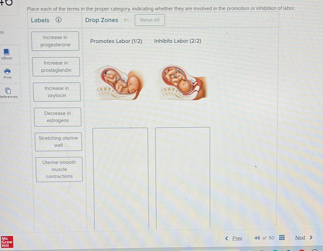 Solved: Place each of the terms in the proper category, indicating ...