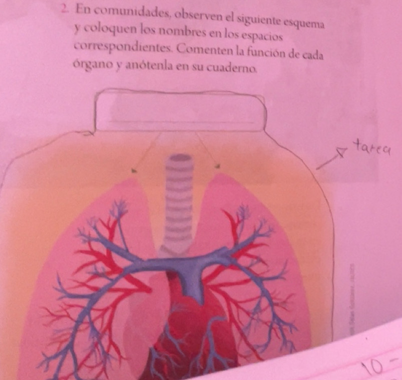 Resuelto:En comunidades, observen el siguiente esquema y coloquen los ...