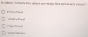 In Adobe Premiere Pro, where are media files and assets stored? *
Effects Panel
Timeline Panel
Project Panel
Source Monitor