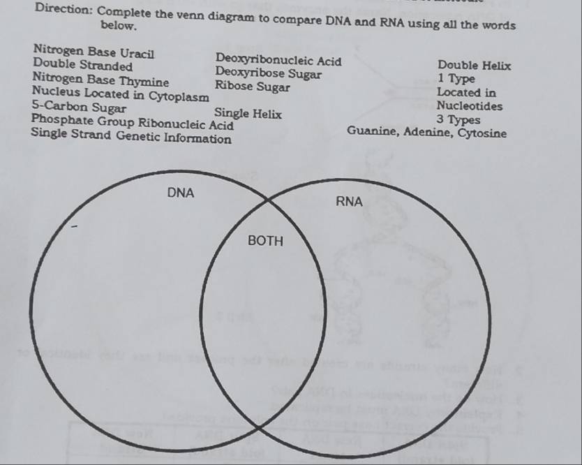 Direction: Complete the venn diagram to compare DNA and RNA using all the words 
below. 
Nitrogen Base Uracil Deoxyribonucleic Acid Double Helix 
Double Stranded Deoxyribose Sugar 1 Type 
Nitrogen Base Thymine Ribose Sugar Located in 
Nucleus Located in Cytoplasm Nucleotides 
5-Carbon Sugar Single Helix 3 Types 
Phosphate Group Ribonucleic Acid Guanine, Adenine, Čytosine 
Single Strand Genetic Information