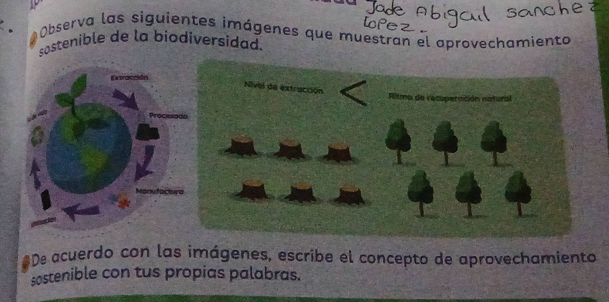 Observa las siguientes imágenes que muestran el aprovechamiento 
sostenible de la biodiversidad. 
#De acuerdo con las imágenes, escribe el concepto de aprovechamiento 
sostenible con tus propias pálabras.