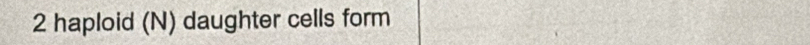 haploid (N) daughter cells form