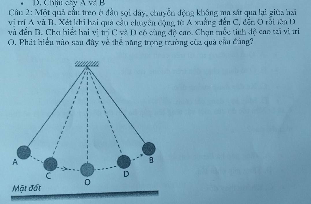 D. Chậu cây A và B
Câu 2: Một quả cầu treo ở đầu sợi dây, chuyển động không ma sát qua lại giữa hai
vị trí A và B. Xét khi hai quả cầu chuyển động từ A xuống đến C, đến O rồi lên D
và đến B. Cho biết hai vị trí C và D có cùng độ cao. Chọn mốc tính độ cao tại vị trí
O. Phát biểu nào sau đây về thế năng trọng trường của quả cầu đúng?