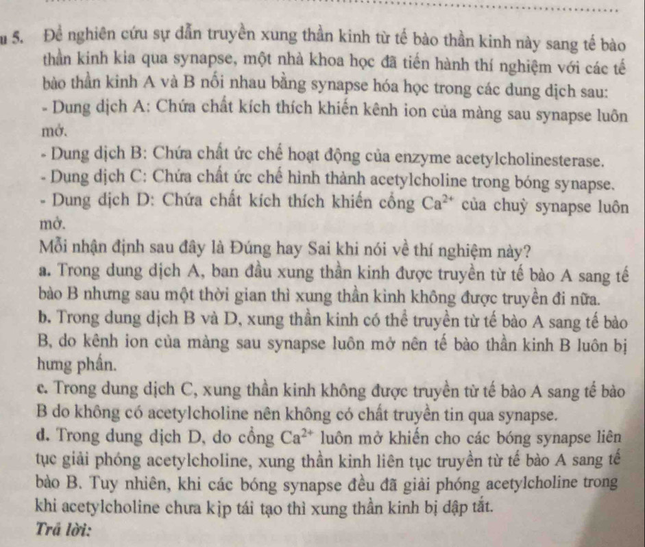 Ấ 5. Để nghiên cứu sự dẫn truyền xung thần kinh từ tế bào thần kinh này sang tế bào
thần kinh kia qua synapse, một nhà khoa học đã tiến hành thí nghiệm với các tế
bào thần kinh A và B nổi nhau bằng synapse hóa học trong các dung dịch sau:
- Dung dịch A: Chứa chất kích thích khiến kênh ion của màng sau synapse luôn
mở.
- Dung dịch B: Chứa chất ức chế hoạt động của enzyme acetylcholinesterase.
- Dung dịch C: Chứa chất ức chế hình thành acetylcholine trong bóng synapse.
- Dung dịch D: Chứa chất kích thích khiến cống Ca^(2+) của chuỳ synapse luôn
mở.
Mỗi nhận định sau đây là Đúng hay Sai khi nói về thí nghiệm này?
a. Trong dung dịch A, ban đầu xung thần kinh được truyền từ tế bào A sang tế
bào B nhưng sau một thời gian thì xung thần kinh không được truyền đi nữa.
b. Trong dung dịch B và D, xung thần kinh có thể truyền từ tế bào A sang tế bào
B, do kênh ion của màng sau synapse luôn mở nên tế bào thần kinh B luôn bị
hưng phần.
c. Trong dung dịch C, xung thần kinh không được truyền từ tế bào A sang tế bào
B do không có acetylcholine nên không có chất truyền tin qua synapse.
d. Trong dung dịch D, do cổng Ca^(2+) luôn mở khiến cho các bóng synapse liên
tục giải phóng acetylcholine, xung thần kinh liên tục truyền từ tế bào A sang tế
bào B. Tuy nhiên, khi các bóng synapse đều đã giải phóng acetylcholine trong
khi acetylcholine chưa kịp tái tạo thì xung thần kinh bị dập tắt.
Trả lời: