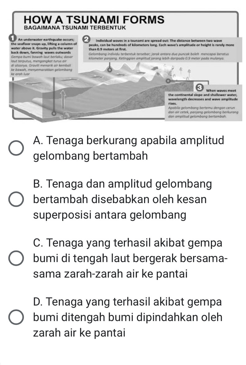 HOW A TSUNAMI FORMS
BAGAIMANA TSUNAMI TERBENTUK
7 An underwater earthquake occurs; 2 Individual waves in a tsunami are spread out: The distance between two wave
the seafloor snaps up, lifting a column of peaks, can be hundreds of kilometers long. Each wave's amplitude or height is rarely more
water above it. Gravity pulls the water than 0.9 meters at first.
back down, fanning waves outwards
Gempa bumi bawah laut berlaku; dasar Gelombang individu terbentuk tersebar; jarak antara dua puncak boleh mencapai beratus
laut terputus, mengangkat turus air kilometer panjang. Ketinggian amplitud jarang lebih daripada 0.9 meter pada mulanya.
di atasnya. Graviti menarik air kembali
ke bawah, menyemarakkan gelombang
ke arah luar
<
When waves meet
the continental slope and shallower water,
wavelength decreases and wave amplitude
rises.
Apabila gelombang bertemu dengan cerun
dan air cetek, panjang gelombang berkurang
dan amplitud gelombang bertambah.
 A. Tenaga berkurang apabila amplitud
gelombang bertambah
B. Tenaga dan amplitud gelombang
bertambah disebabkan oleh kesan
superposisi antara gelombang
C. Tenaga yang terhasil akibat gempa
bumi di tengah laut bergerak bersama-
sama zarah-zarah air ke pantai
D. Tenaga yang terhasil akibat gempa
bumi ditengah bumi dipindahkan oleh
zarah air ke pantai