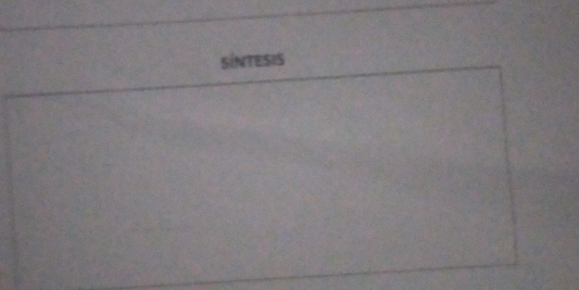 SiNTESIS