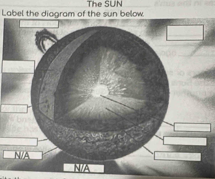 The SUN 
Label the diagram of the sun below.