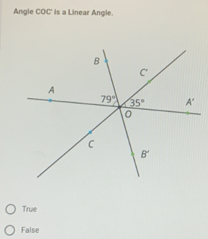 Angle COC' is a Linear Angle.
True
False