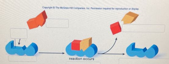 Copyright © The McGraw-Hill Companies, Inc. Permission required for reproduction or display. 
reaction occurs