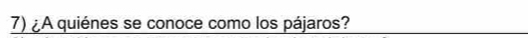 ¿A quiénes se conoce como los pájaros?