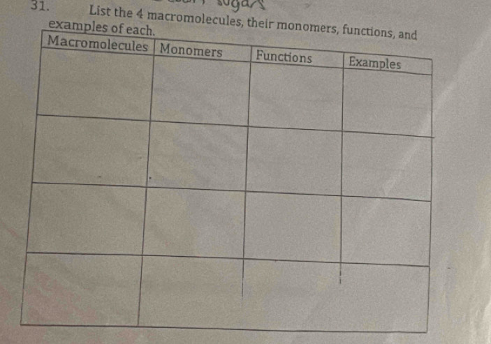 List the 4 macromolecu