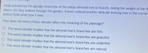 Solved: Delia pointed out the slender branches of the wispy almond tree ...