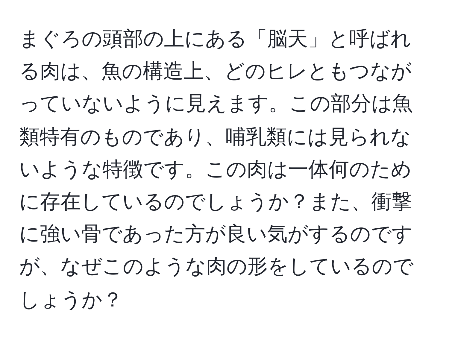 まぐろの頭部の上にある「脳天」と呼ばれる肉は、魚の構造上、どのヒレともつながっていないように見えます。この部分は魚類特有のものであり、哺乳類には見られないような特徴です。この肉は一体何のために存在しているのでしょうか？また、衝撃に強い骨であった方が良い気がするのですが、なぜこのような肉の形をしているのでしょうか？