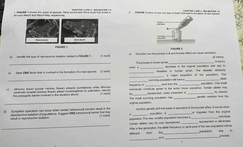 CHAPTER 3 AND 4 : BIO-MASTER 1.0 CHAPTER 3 AND 4 : BIO-MASTER 1.0
1. FIGURE 1 shows two types of species, Rana aurora and Rana boyli that breed in 2. FIGURE 2 below shows one type of factor that lead to formation of new species 
January-March and March-May respectively. 
Rana boy( 
FIGURE 1 
FIGURE 2 
a) Identify the type of reproductive isolation related to FIGURE 1. [1 mavk] a) Describe how the process in A and founder effect can cause speciation. 
(6 marks) 
_The process is known as the _. It occurs 
when a _decrease in the original population size due to 
b) State ONE factor that is involved in the formation of a new species. [1 mark] _disasters or human action. The disaster randomly 
_ 
a major proportion of the population. The 
_ 
_surviving population will have a_ allele 
frequency or _pool from the _population. Only small 
c) Mimulus lewis/i (purple monkey flower) attracts bumblebees while Mimulus individuals contribute genes to the entire future population. Certain alleles may 
cardinalis (scarfet monkey flower) attract hummingbirds for poltination. Identify 
the prezygotic barrier involved in the situation above. [1 mark] be_ represented, under presented or _by chance. 
_ 
The small surviving popullation has _genetic variation from the 
original population. 
d) Sympatric speciation can occur when certain behavioural barriers result in the Another genetic drift that leads to speciation is the founder effect. It occurs when 
reproductive isolation of populations. Suggest ONE behavioural barrier that may 
result in reproductive isolation. [1 mark] _population is __or migrated from the original individual 
population.The new, smaller population becomes a 
_ 
Certain alleles may be over represented, _represented or eliminated. 
After a few generation, the ailele frequency or gene pool of the new population will be 
different from the_ population due to 
_ 
and_ process. 
2